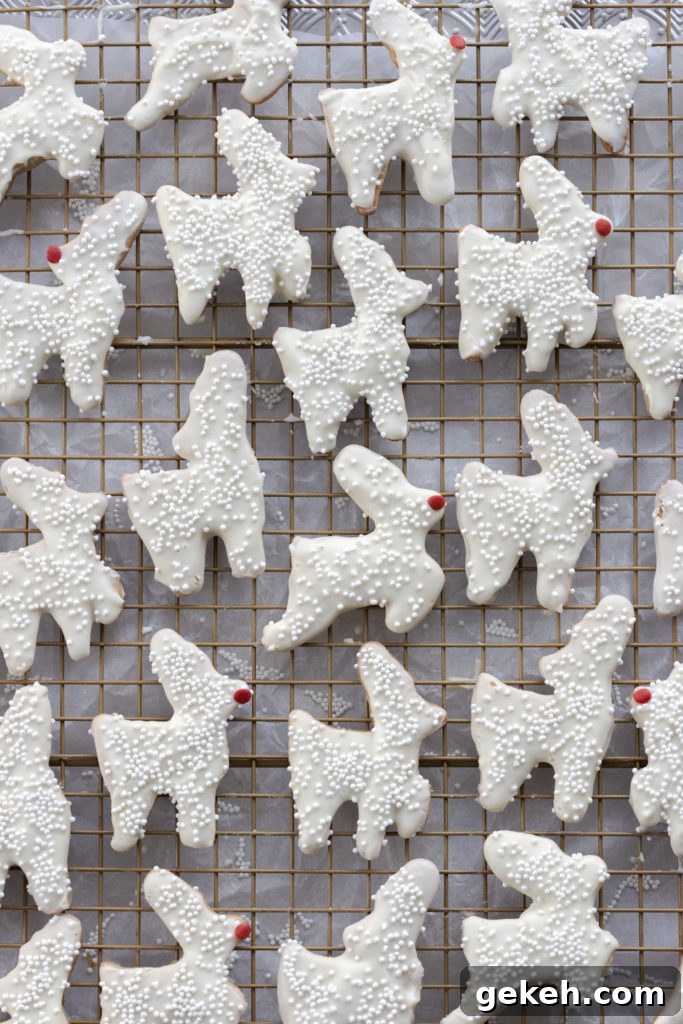 Festive Reindeer Cookies Recipe for Holiday Parties 18 reindeer cookies with white chocolate icing
