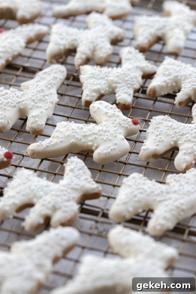 Festive Reindeer Cookies Recipe for Holiday Parties 19 reindeer cookies with sprinkles