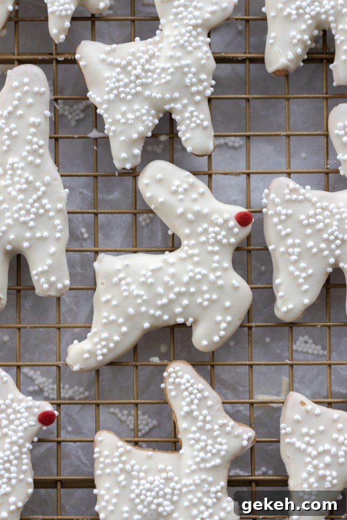 Festive Reindeer Cookies Recipe for Holiday Parties 20 Rudolph the Red Nosed Reindeer Cookie