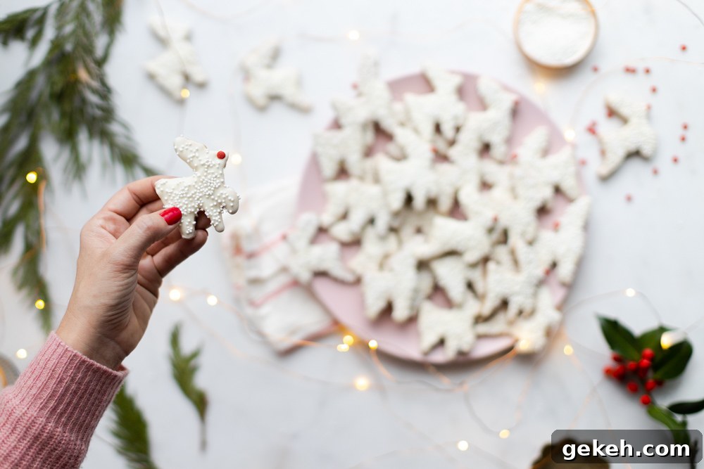 Festive Reindeer Cookies Recipe for Holiday Parties 21 Reindeer Animal Cookies flying