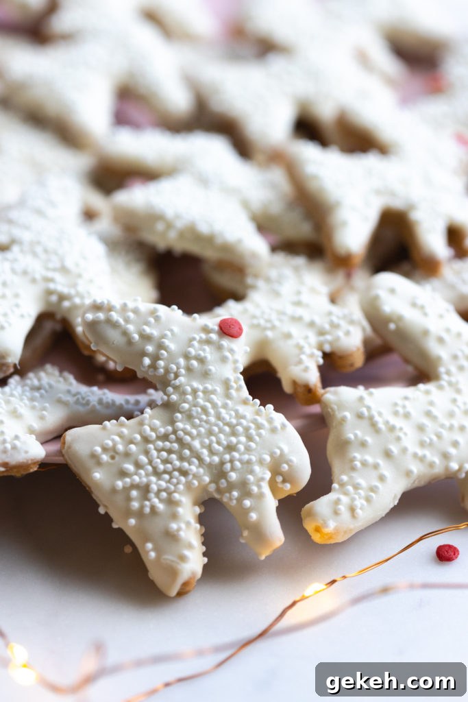 Festive Reindeer Cookies Recipe for Holiday Parties 23 Reindeer Animal Cookies close up