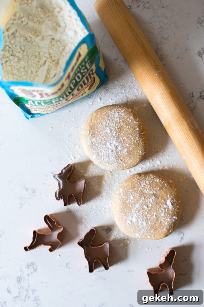 Festive Reindeer Cookies Recipe for Holiday Parties 10 Reindeer Cookie dough