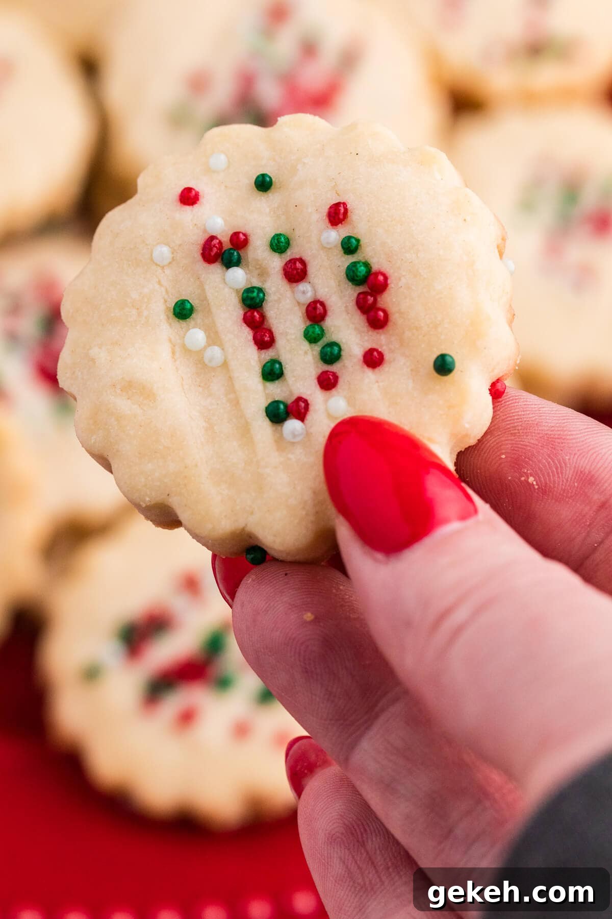 Close-up of a hand with red nail polish holding a scalloped-edge holiday cookie decorated with red, green, and white sprinkles, with more festive cookies blurred in the background.