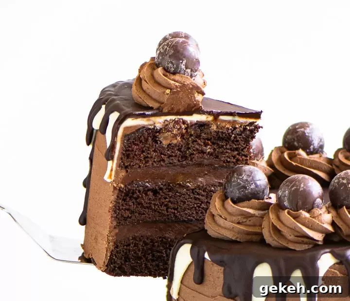 Decadent Death by Chocolate Cake Recipe for Chocolate Lovers 2 cake server lifting a slice of death by chocolate cake into the air