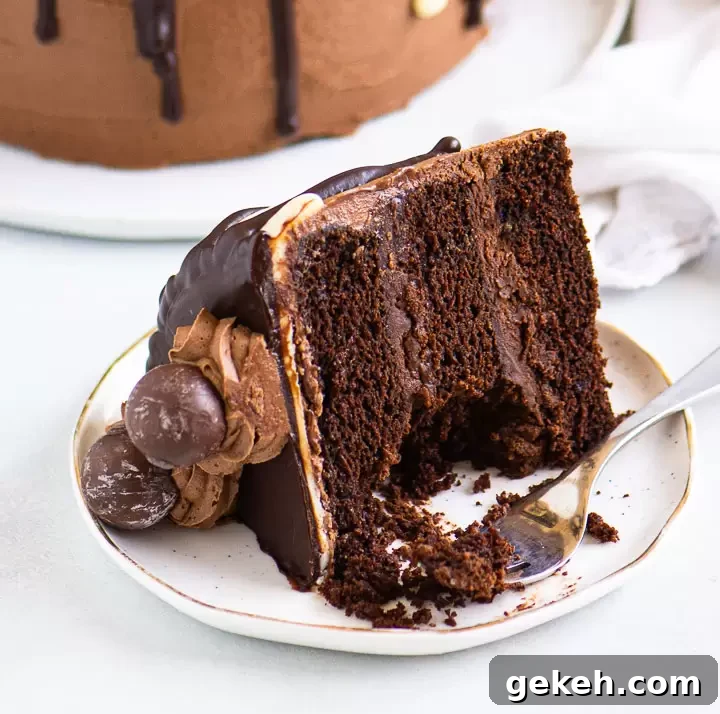 Decadent Death by Chocolate Cake Recipe for Chocolate Lovers 7 slice of chocolate cake on a plate with a fork taking a bite out of it