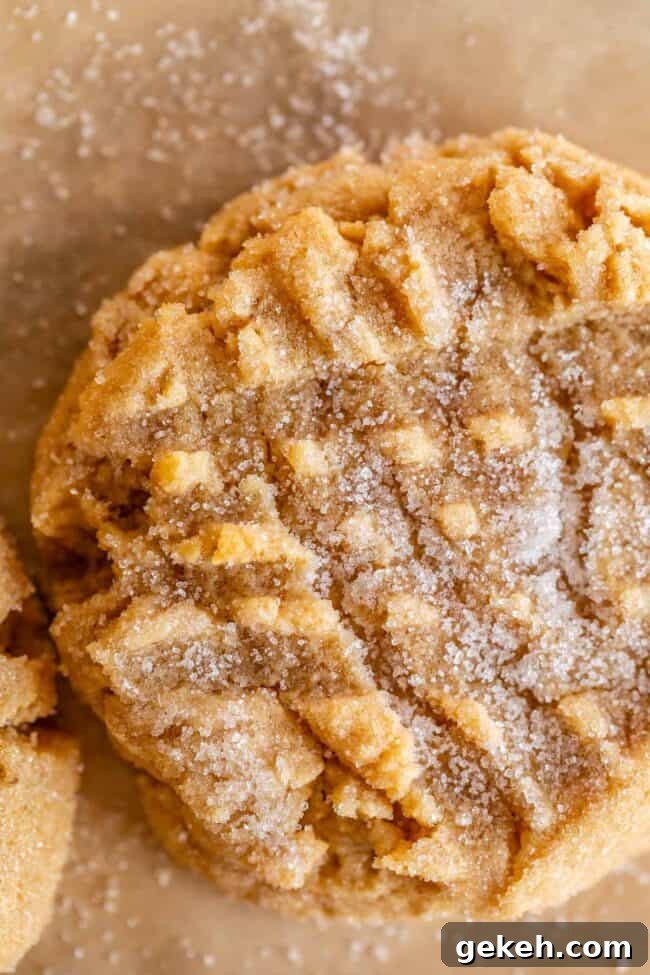 Chewy Peanut Butter Cookie Recipe That Melts in Your Mouth 2 overhead shot of peanut butter cookies recipe with fork smash design.