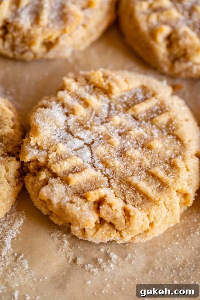 Chewy Peanut Butter Cookie Recipe That Melts in Your Mouth 14 soft peanut butter cookie with the criss cross fork imprint, sprinkled with sugar.
