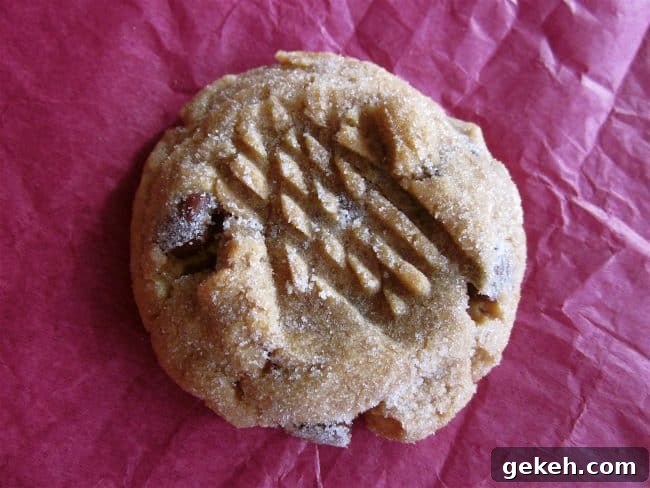 Chewy Peanut Butter Cookie Recipe That Melts in Your Mouth 15 peanut butter cookie with chocolate chips and fork hash marks on top of cookie on red tissue paper.