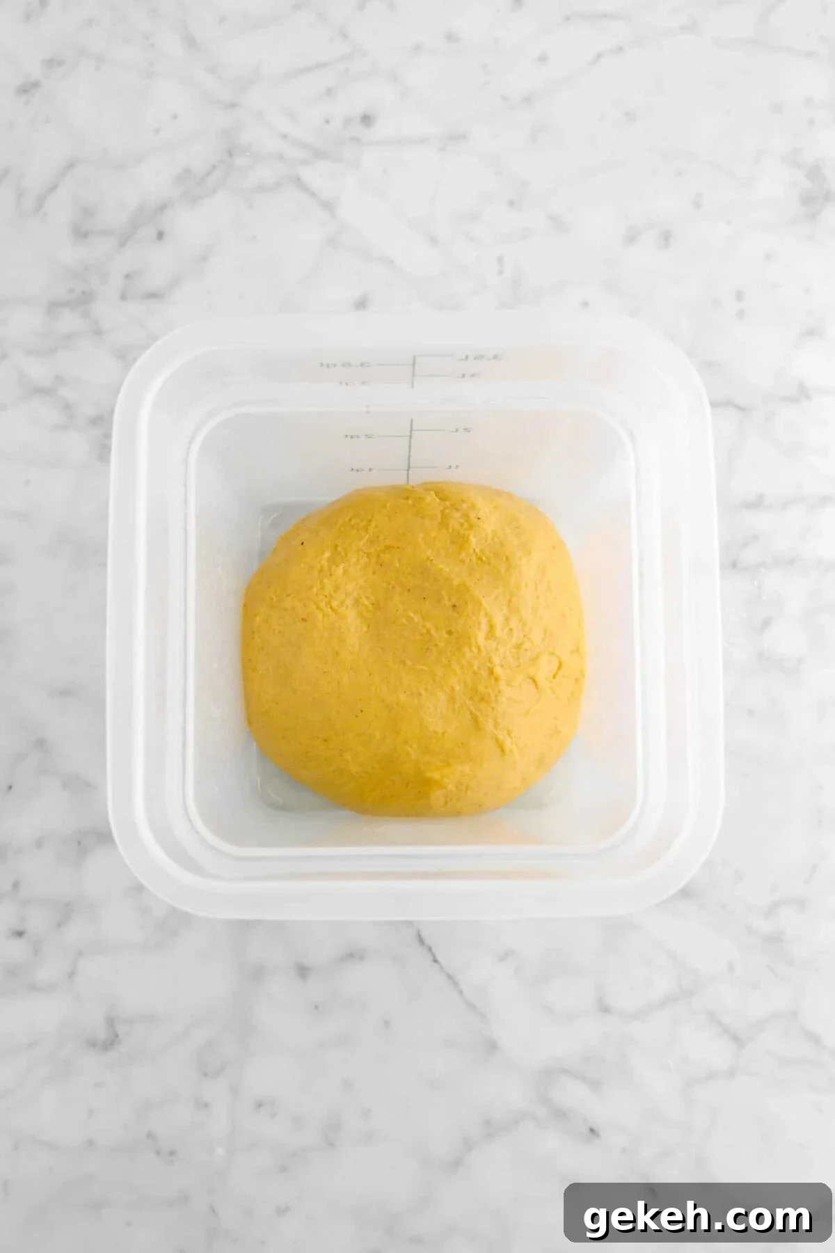 dough in container