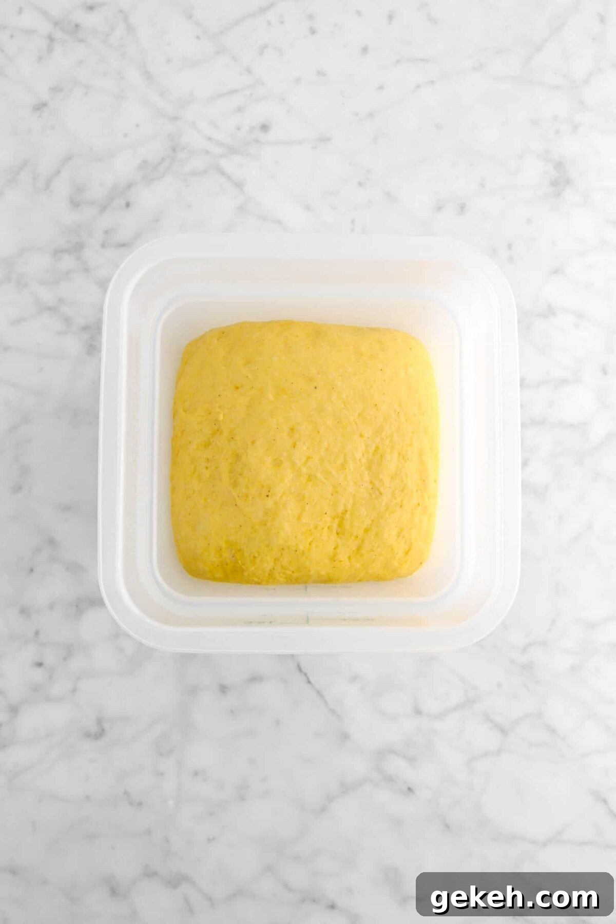 pumpkin dough in container doubled in bulk