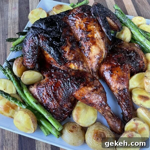Thai-Style Grilled Chicken with Tangy Marinade 10 img 2389 10