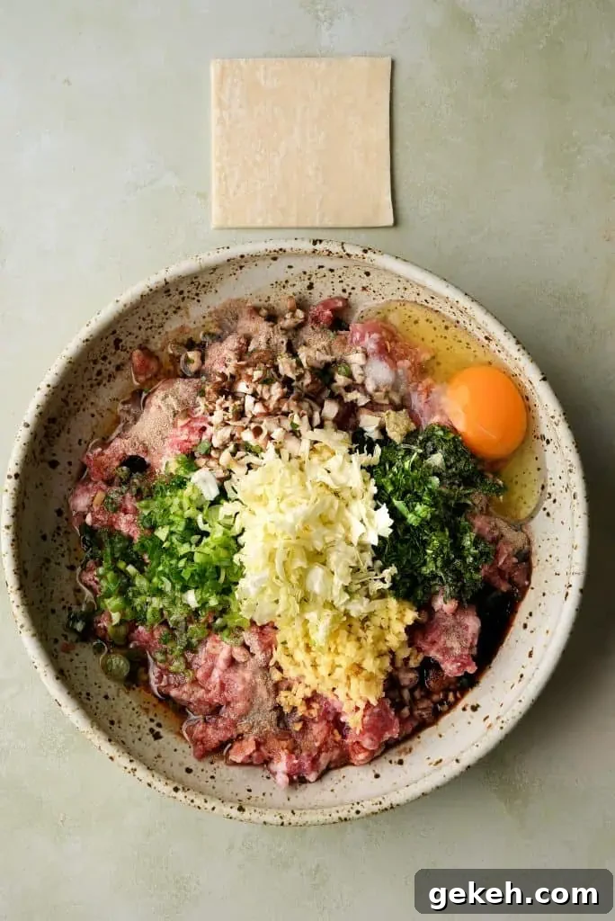 A bowl of raw ground pork is shown with chopped napa cabbage, scallions, mushrooms, ginger, garlic, cilantro, seasonings, and a cracked egg before mixing, with a single wonton wrapper placed above the bowl.