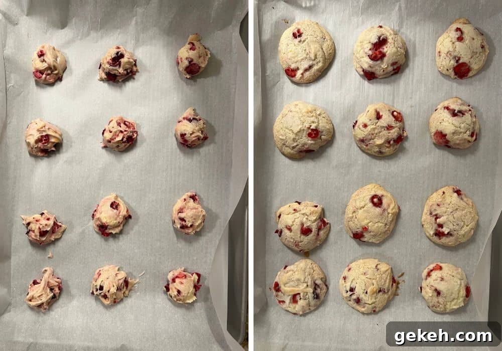 two photos; one shows rounds of cranberry orange cookie dough on a parchment-lined baking sheet; the other shows the freshly baked cookies on the baking sheet.