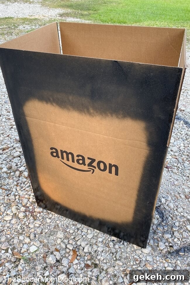 painting a cardboard box black