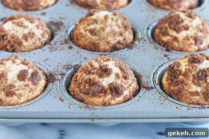 Classic Old-Fashioned Crumb Cake Recipe: Timeless Coffee Cake Delight 14 Just-baked old fashioned crumb cakes with a cinnamon streusel topping, in a metal baking pan on a gray and white marble surface.