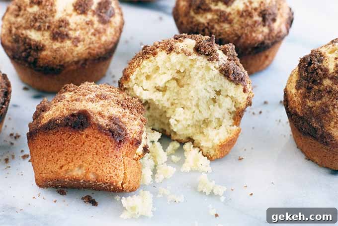 Classic Old-Fashioned Crumb Cake Recipe: Timeless Coffee Cake Delight 15 Closeup of several old fashioned crumb cakes on a marble slap, with scattered crumbs. The muffin in the foreground is broken in half to show the buttery cake inside.
