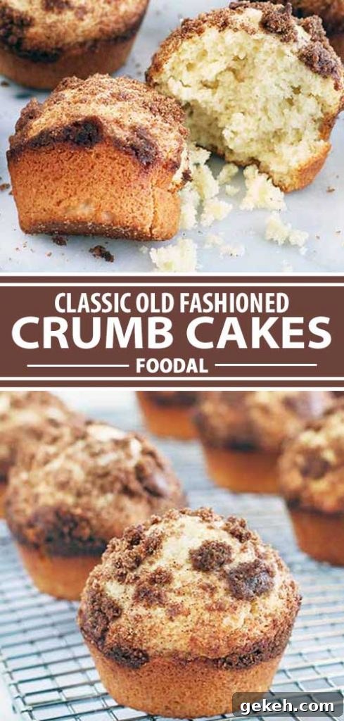Classic Old-Fashioned Crumb Cake Recipe: Timeless Coffee Cake Delight 16 A collage of photos showing different views of an old fashioned homemade crumb cake recipe.