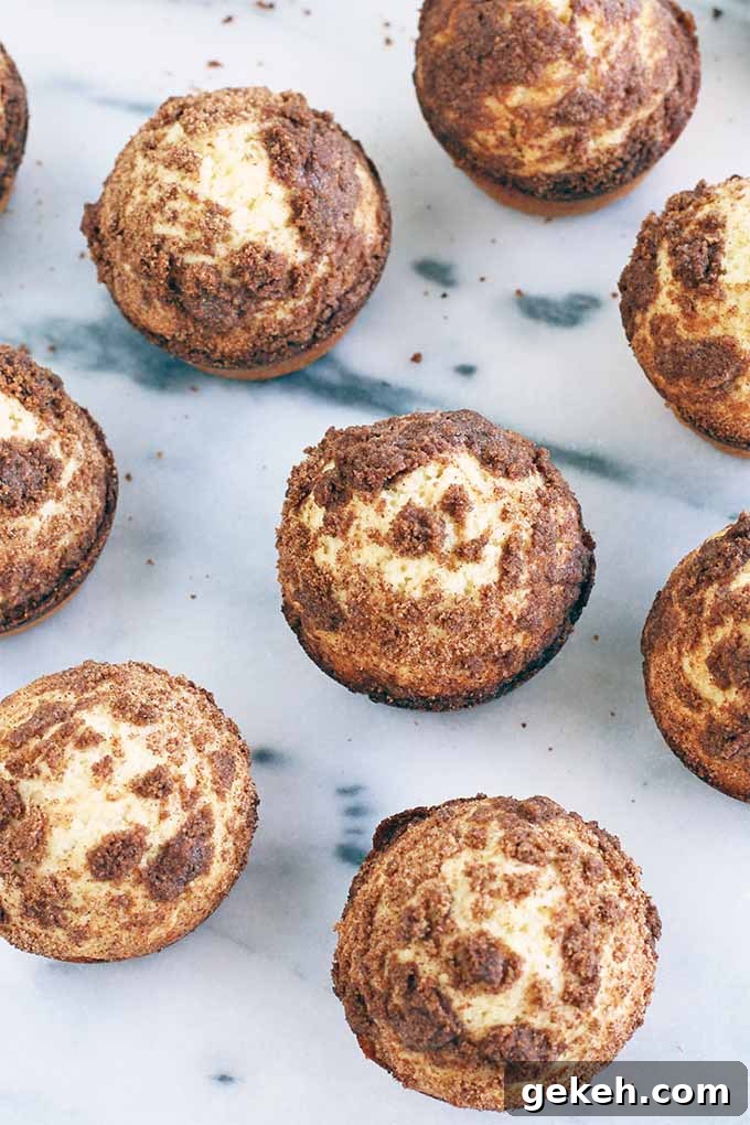 Classic Old-Fashioned Crumb Cake Recipe: Timeless Coffee Cake Delight 4 Top-down view of nine muffins topped with cinnamon streusel, on a gray and white marble surface.