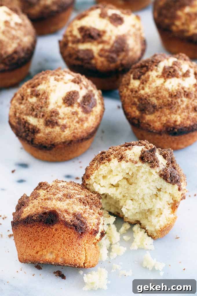 Classic Old-Fashioned Crumb Cake Recipe: Timeless Coffee Cake Delight 5 Muffins with streusel topping arrange on a piece of marble, with one in the foreground broken in half to show the crumb.