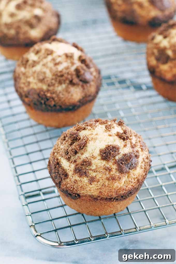 Classic Old-Fashioned Crumb Cake Recipe: Timeless Coffee Cake Delight 6 Five streusel-topped crumb cakes arranged in two rows on a silver wire cooling rack, on top of a gray and white marble background.