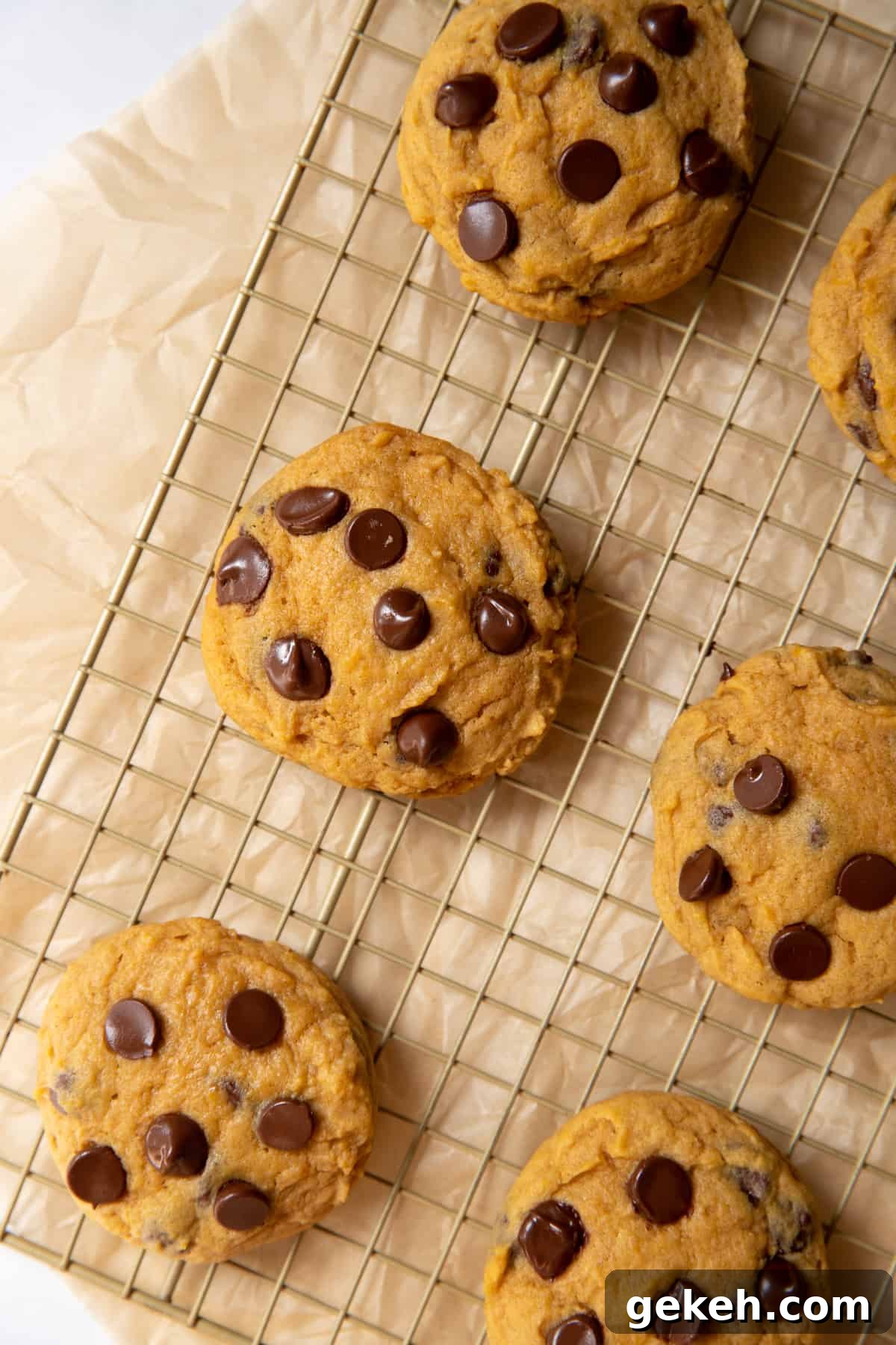 a baking rack with six easy pumpkin chocolate chip cookies