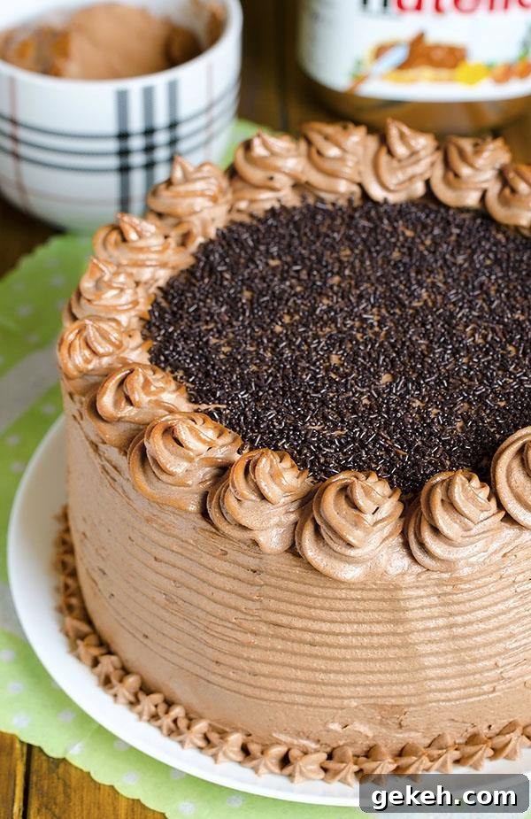 Decadent Nutella Chocolate Cake — Irresistible Hazelnut Dessert Recipe 2 Decadent Nutella Chocolate Cake – moist, rich and super chocolaty cake frosted with rich and buttery Nutella frosting .