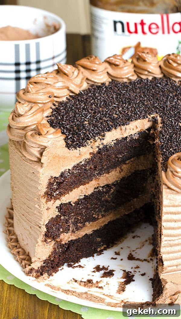 Decadent Nutella Chocolate Cake — Irresistible Hazelnut Dessert Recipe 4 Decadent Nutella Chocolate Cake – moist, rich and super chocolaty cake frosted with rich and buttery Nutella frosting .