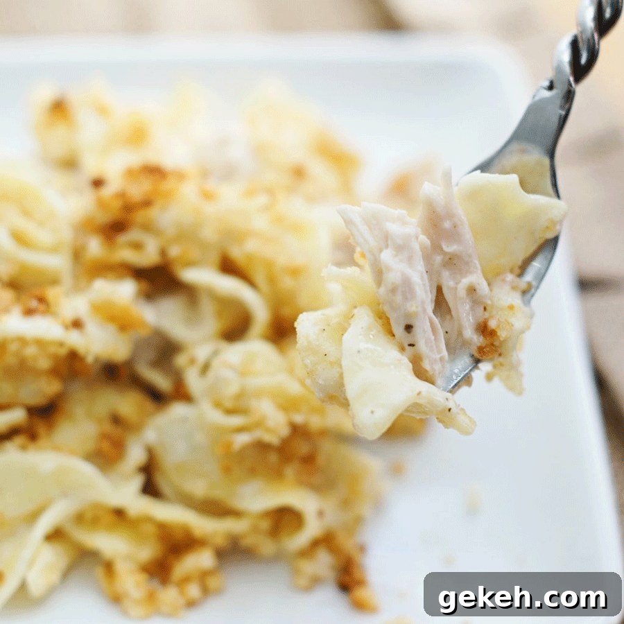 A fork with a bite of chicken noodle casserole on it