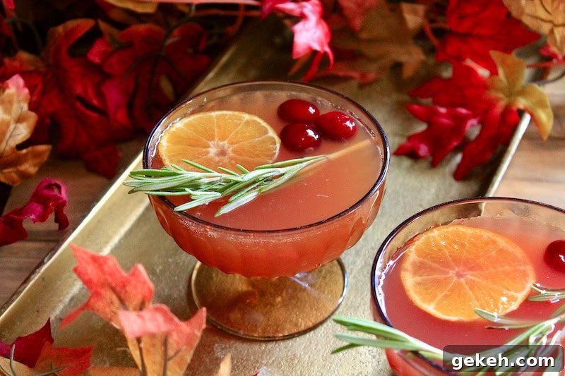 Cranberry honeycrisp apple bourbon cocktail