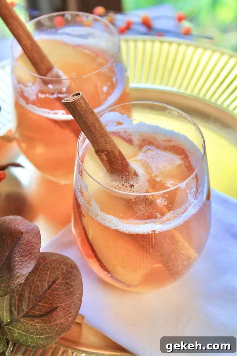 Autumn Apple Cider Cocktail with Fireball and Bourbon 6 Two cocktails topped with sparkling cider