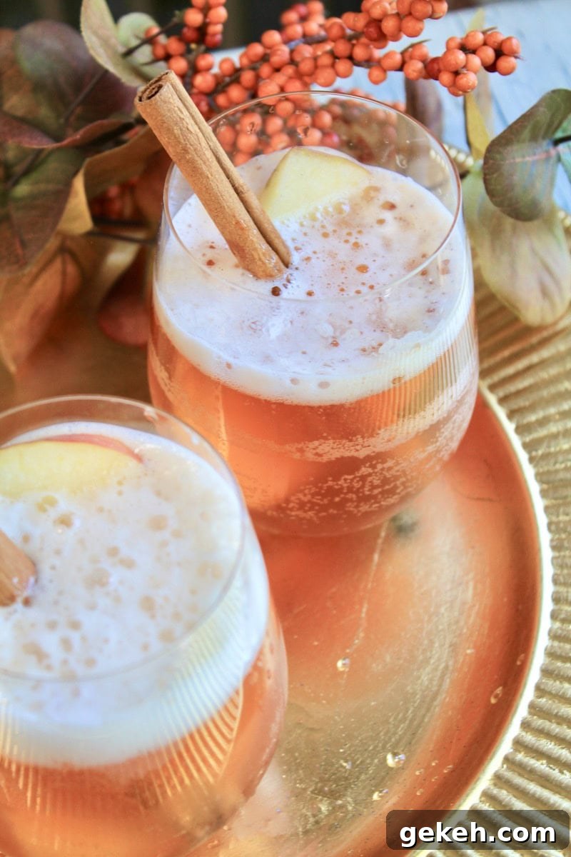 Autumn Apple Cider Cocktail with Fireball and Bourbon 9 Finished cocktail with cinnamon garnish