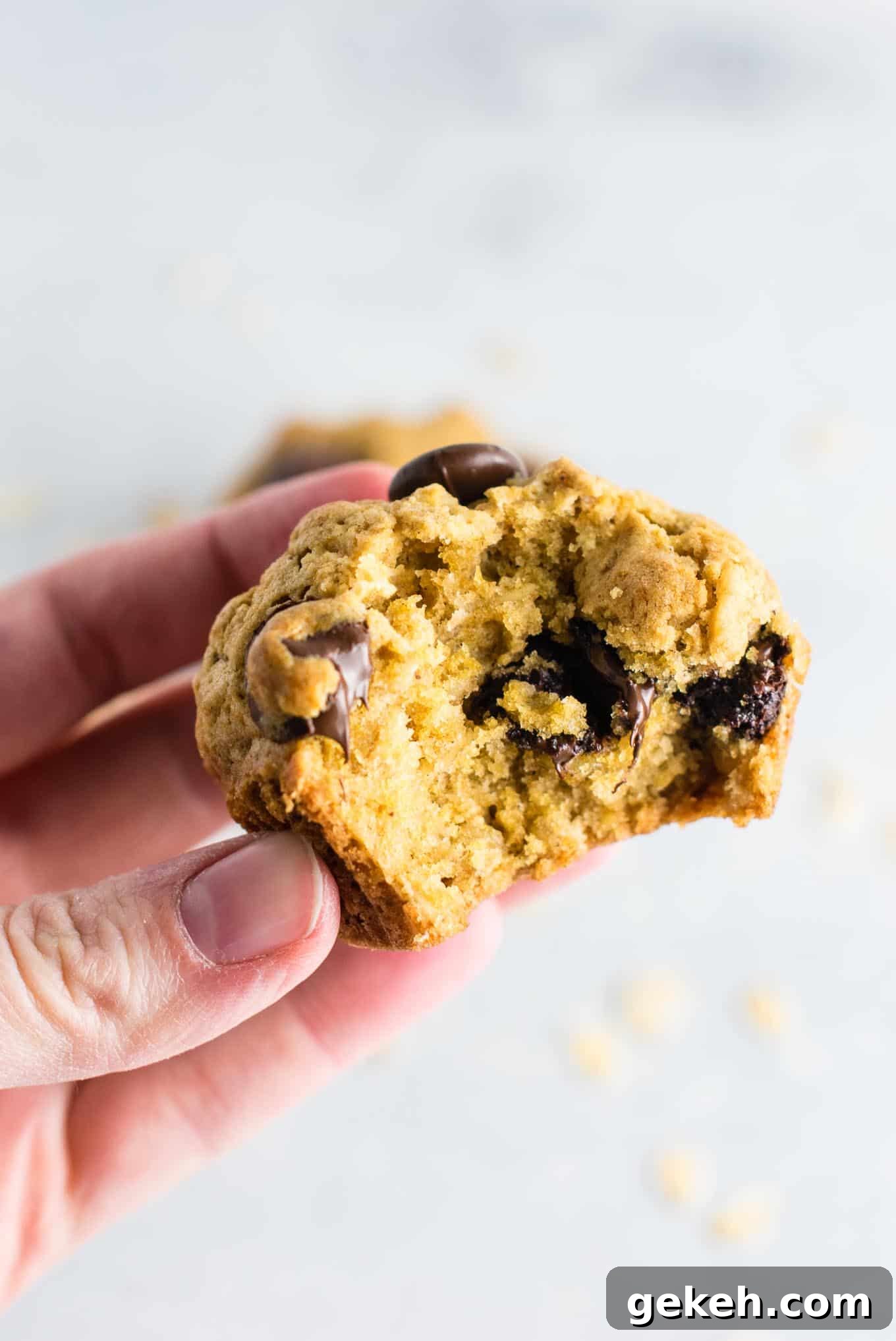 Oatmeal chocolate chip cookie muffins - breakfast that tastes like dessert! #chocolatechipmuffins #healthy #breakfast #wholewheat #oatmealchocolatechip