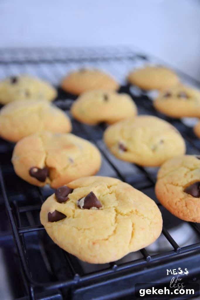 Air Fryer Chocolate Chip Cookies Made with Cake Mix 11 chocolate chip cookies on a baking rack