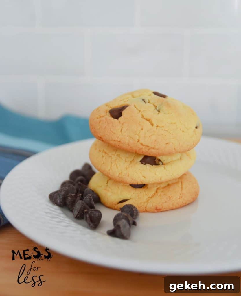 Air Fryer Chocolate Chip Cookies Made with Cake Mix 12 cake mix chocolate chip cookies