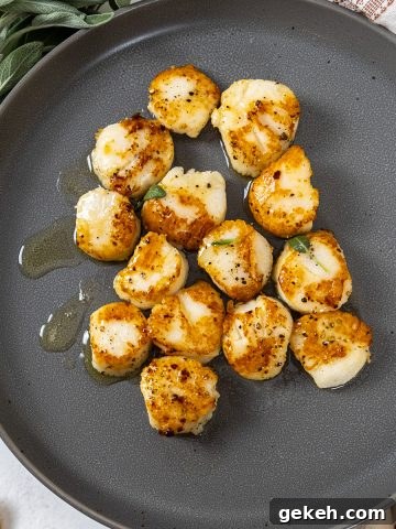 garlic sage seared scallops on a plate