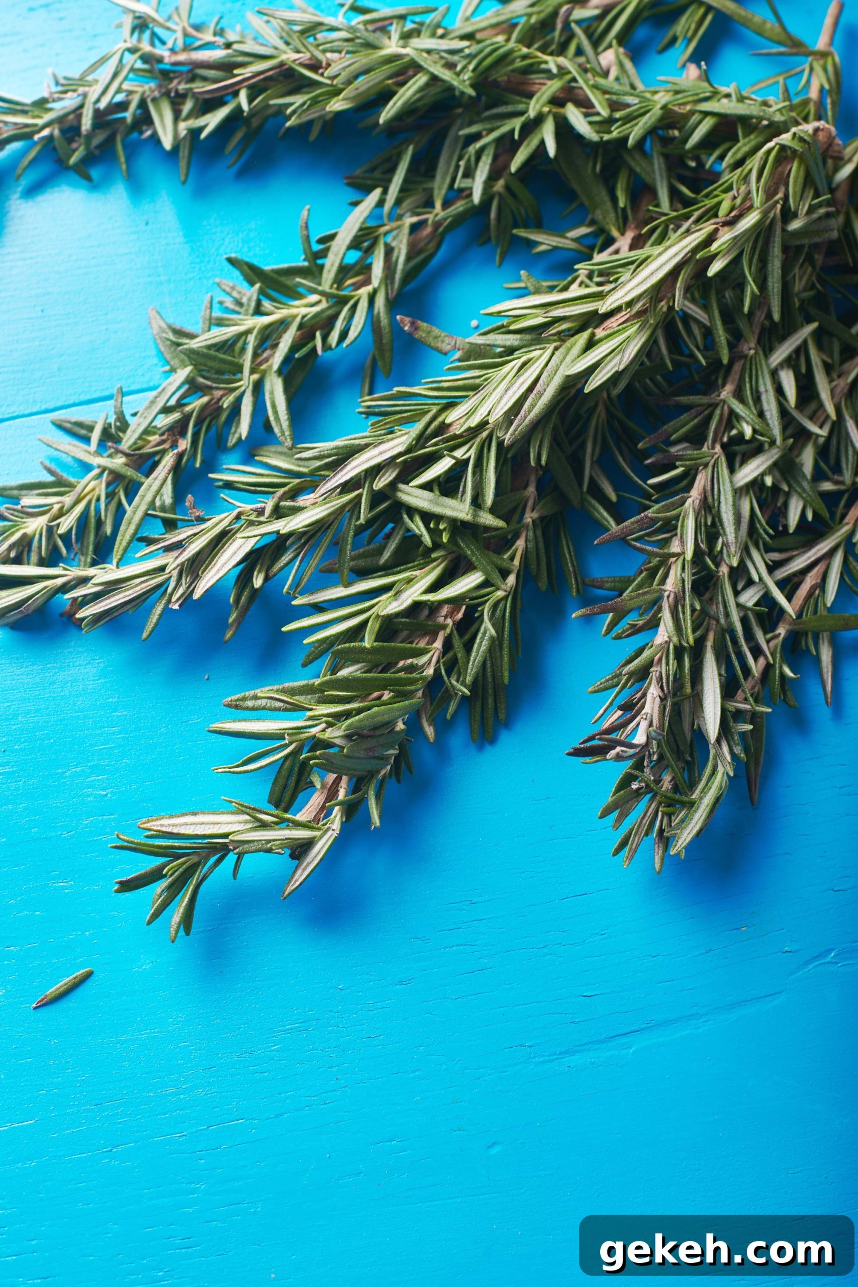 Cooking with Rosemary: Flavorful Recipes and Tips for Home Cooks 2 Fresh rosemary sprigs on blue table.