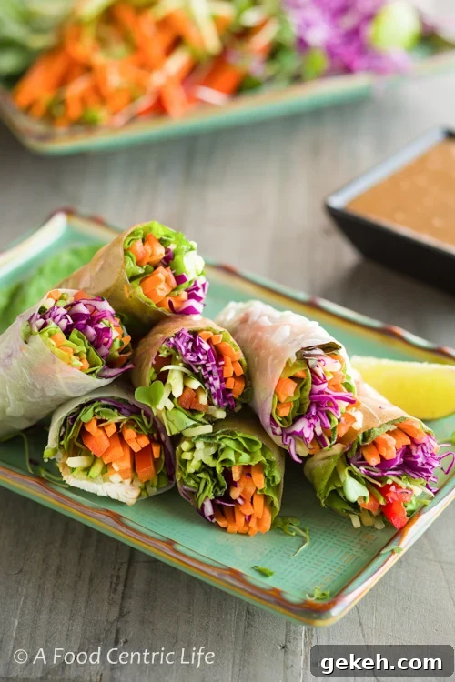 vegetable spring rolls