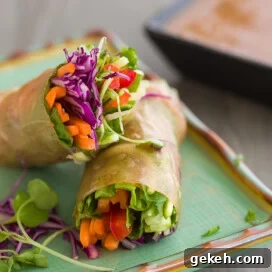 rainbow spring rolls
