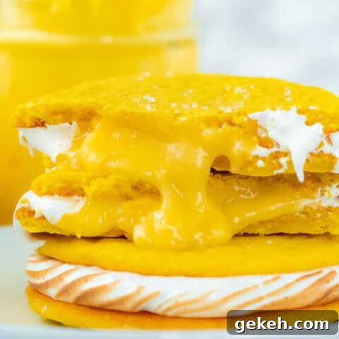 lemon sugar cookies filled with meringue and lemon curd
