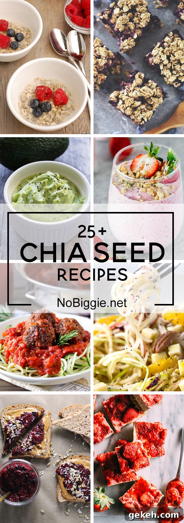 25+ Chia Seed Recipes | NoBiggie.net