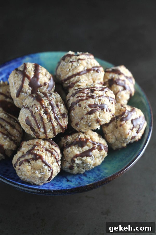No Bake Chia Energy Bites | 25+ Chia Seed Recipes