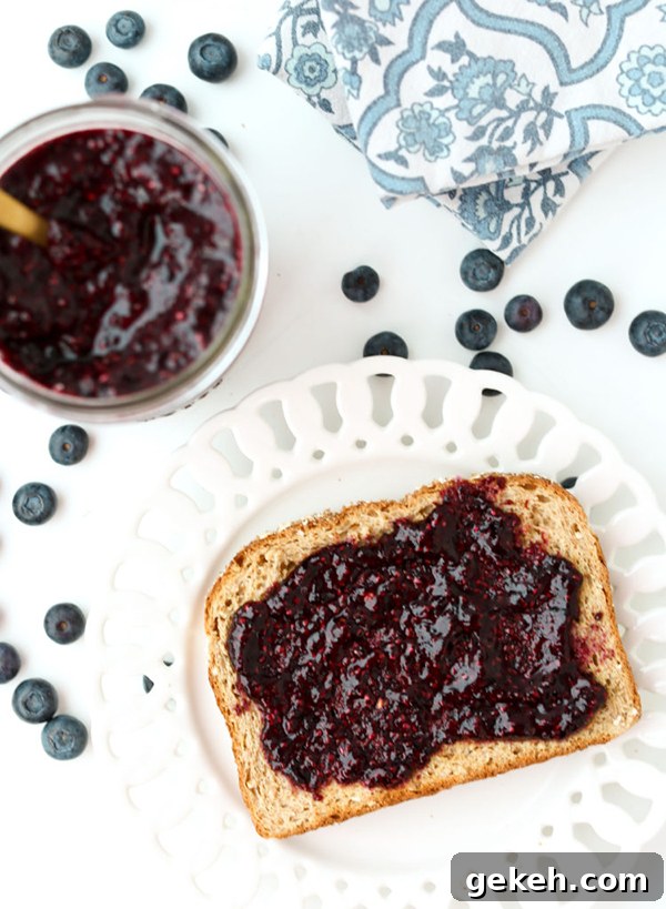 Blueberry Chia Seed Jam | 25+ Chia Seed Recipes