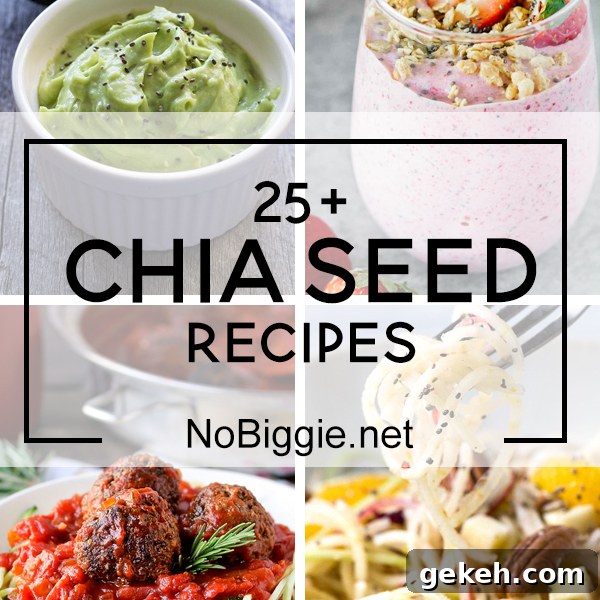 25+ Chia Seed Recipes | NoBiggie.net