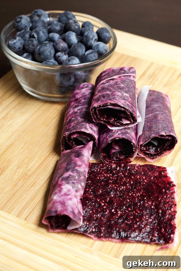 Blueberry Chia Seed Fruit Leather| 25+ Chia Seed Recipes