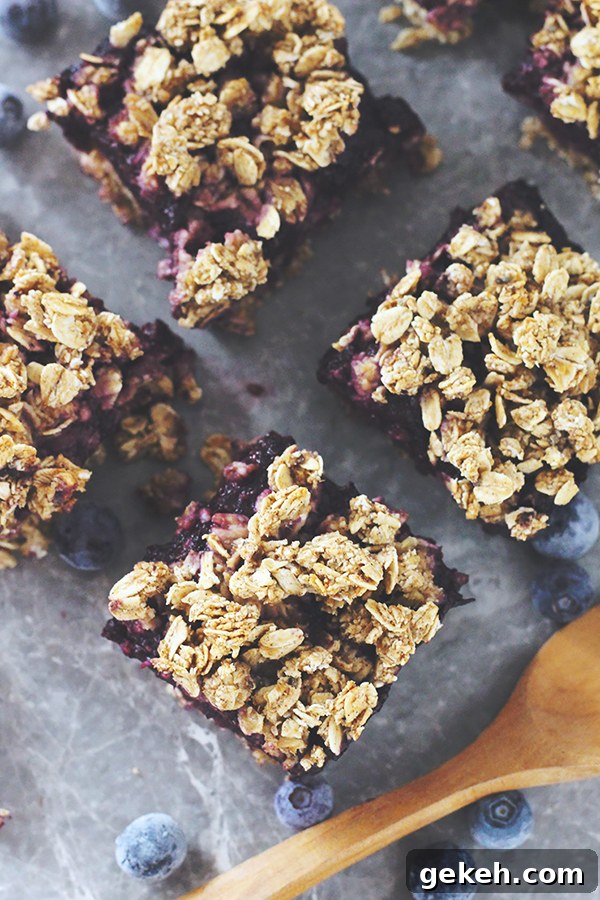 Blueberry Chia Jam Oatmeal Squares | 25+ Chia Seed Recipes