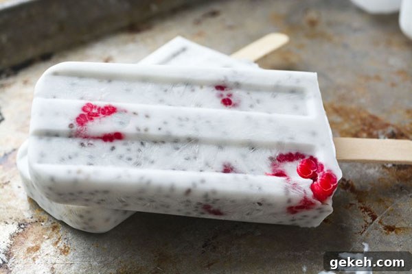 Raspberry Chia Pudding Popsicles | 25+ Chia Seed Recipes