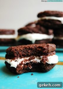 Gluten-Free Vegan Chocolate Orange Cookies (Top 8 Allergen-Free) with Video 12 Allergy-friendly Homemade Oreo Recipe