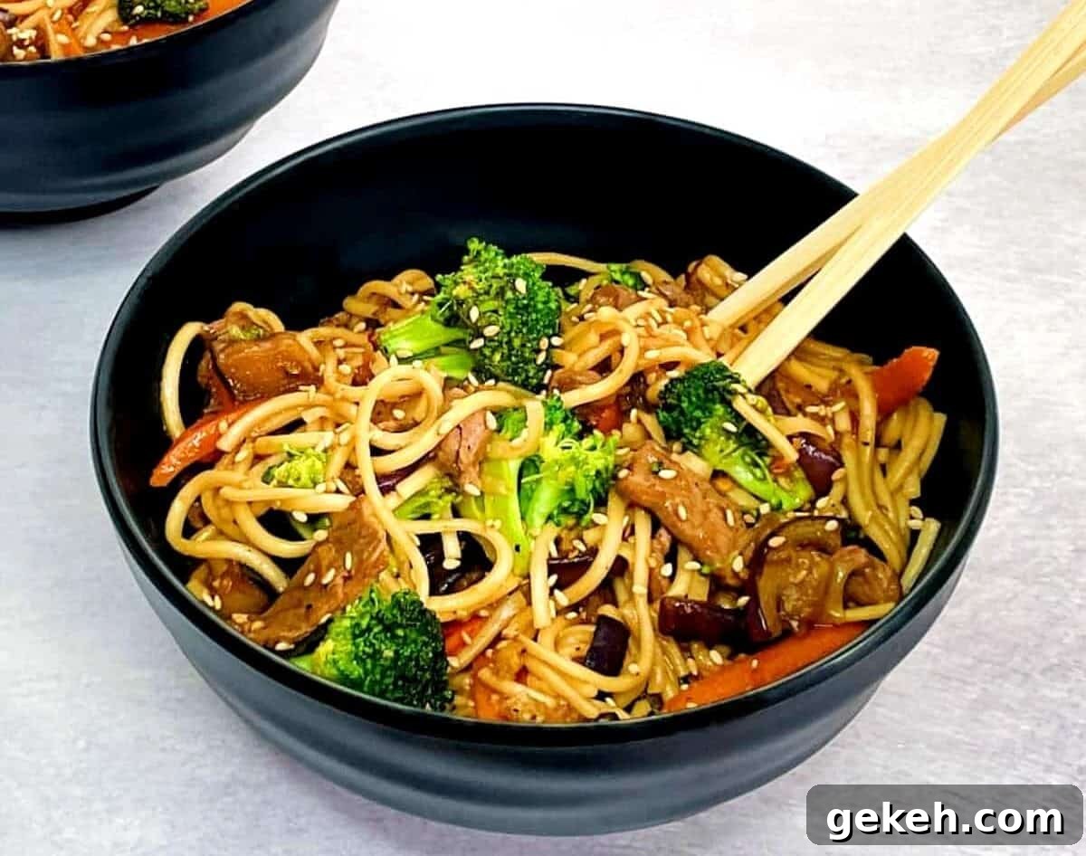 Udon Noodle Stir Fry