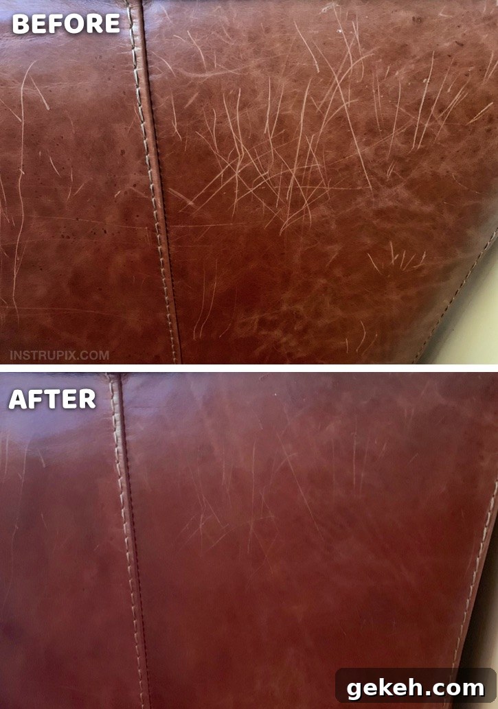 Remove Scratches from Wood and Leather: Simple Steps That Work 4 Useful Life Hack: How to removes scratches on leather furniture with one simple ingredient! This easy trick works like a charm. If you have cats, this tip will really come in handy! DIY Homemade Leather Scratch Repair #instrupix #lifehacks