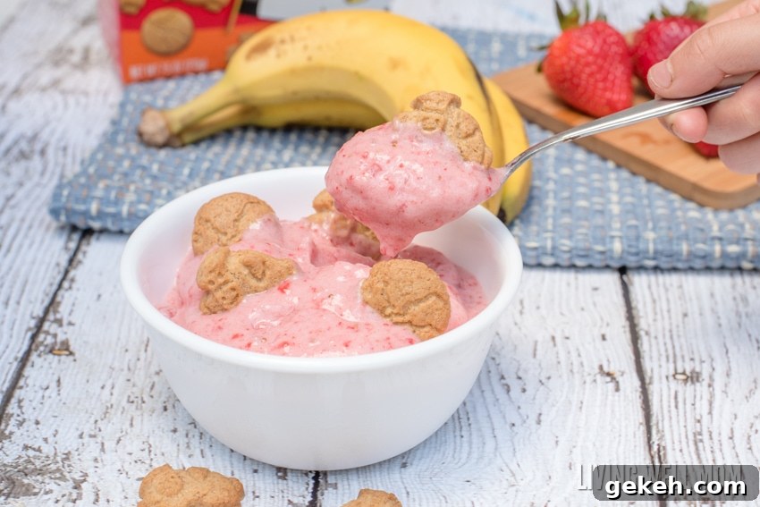 Enjoy homemade strawberry banana ice cream